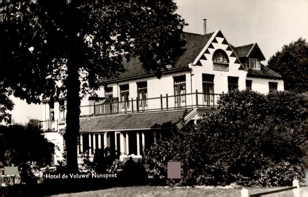 Nunspeet Hotel de Veluwe # 787, Verzamelen, Ophalen of Verzenden, 1940 tot 1960, Ongelopen, Gelderland