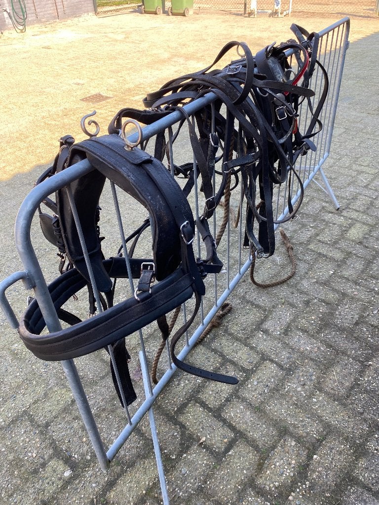 tweespantuig shetland/pony, Dieren en Toebehoren, Ophalen of Verzenden, Pony