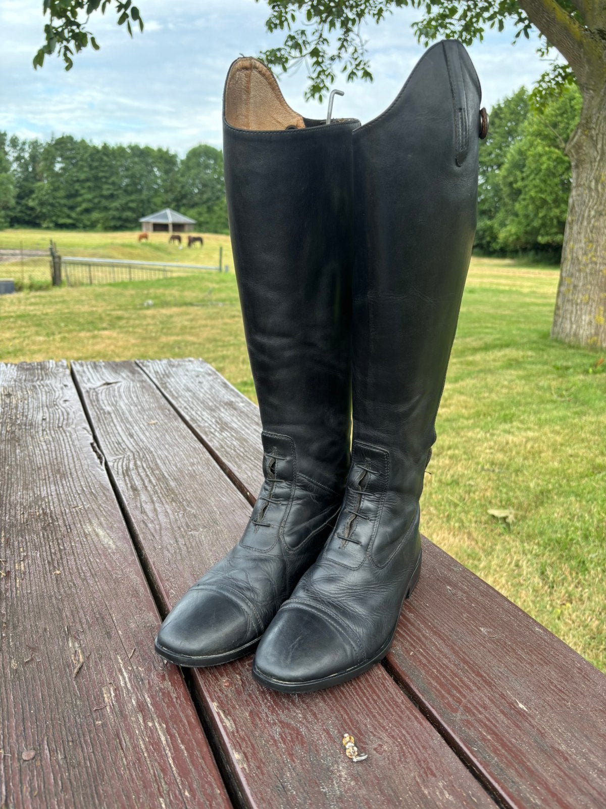 Zwart rijlaarzen QHP in goede  staat maat 39, Ophalen of Verzenden, Gebruikt, Dressuur, Schoeisel
