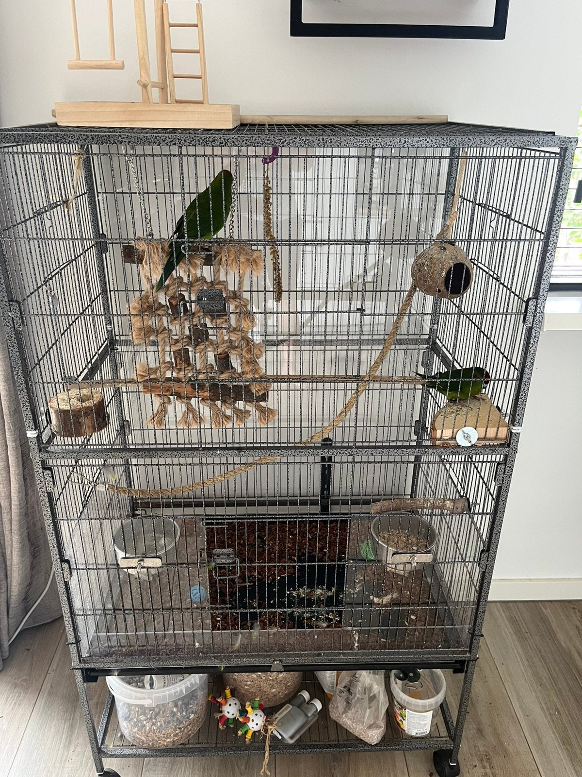 Setje groene kakariki’s met kooi en toebehoren, Ophalen, Gebruikt, Vogelkooi
