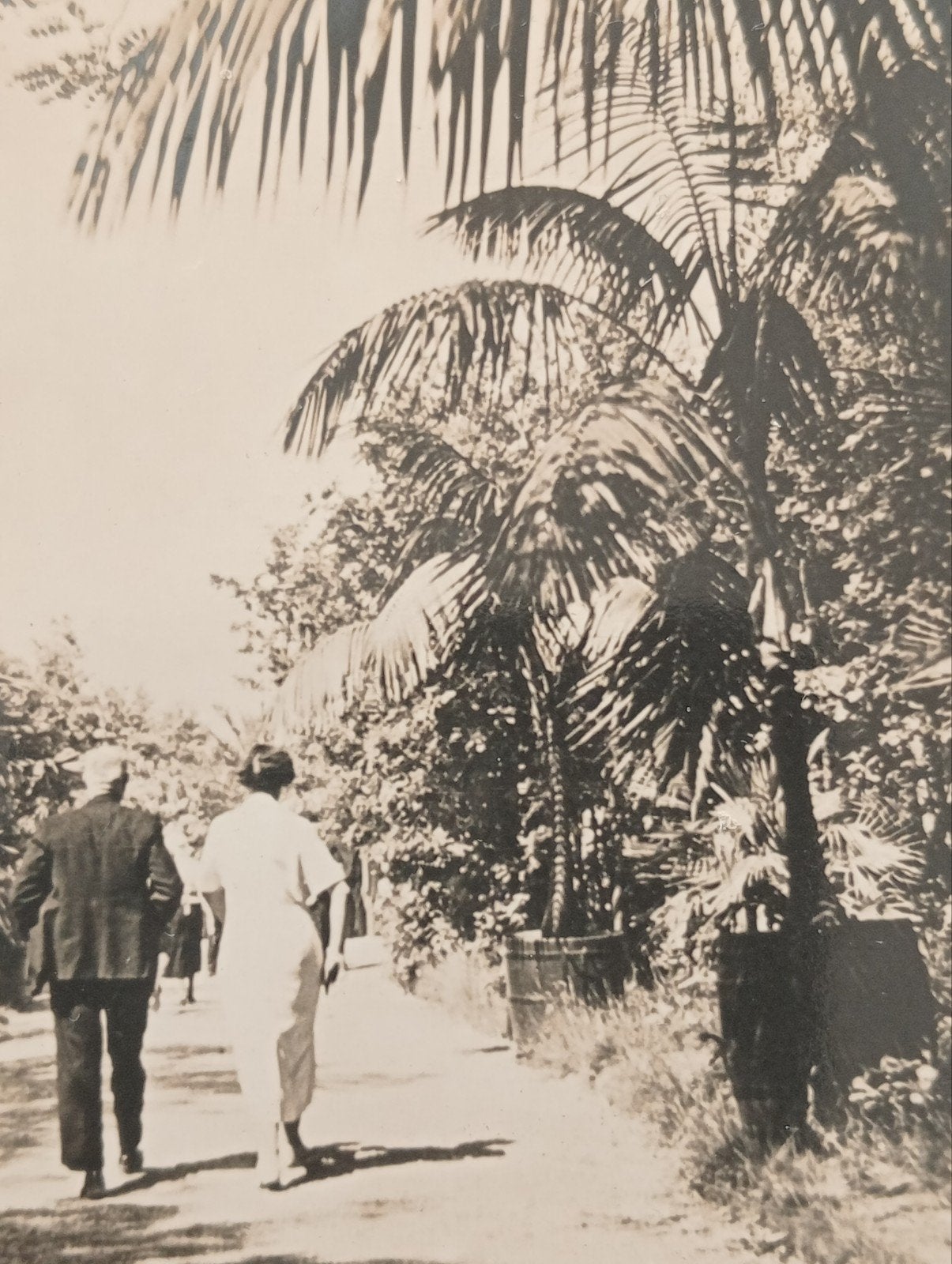 Ouwehands Dierenpark Rhenen Grebbeberg Tropischelaan, Ophalen of Verzenden, Voor 1940, Gebruikt, Overige onderwerpen