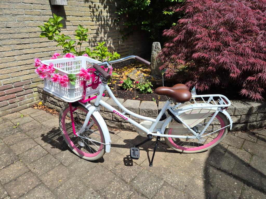Spirit kinderfiets 22 inch met mandje, Ophalen, Terugtraprem, 22 inch, Gebruikt