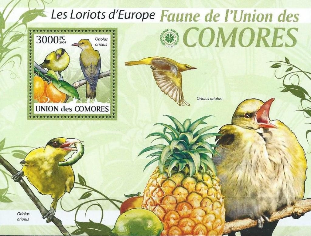 Vogels - Comoren - Mi blok 516 - Postfris, Ophalen of Verzenden, Postfris, Dier of Natuur