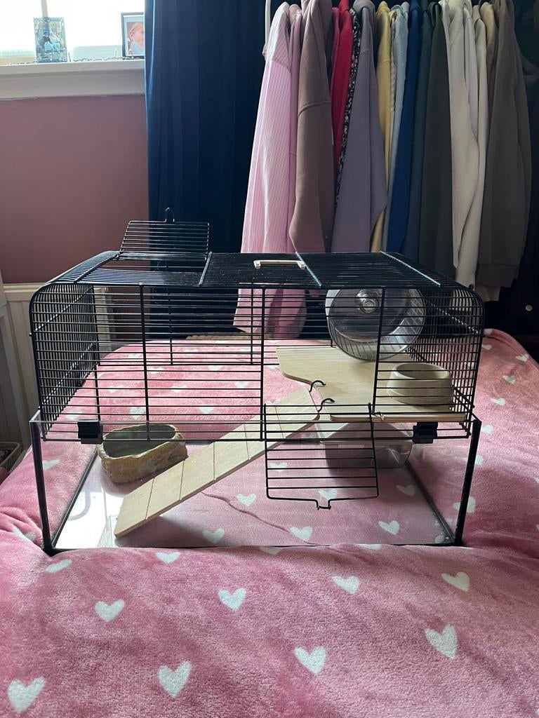 Hamsterkooi, Minder dan 60 cm, Kooi, Minder dan 75 cm, Ophalen of Verzenden