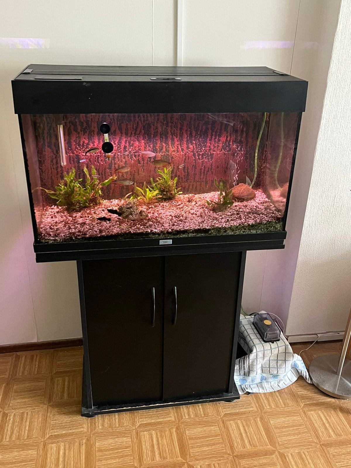 Juwel aquarium met onderkast, Ophalen, Gebruikt, Inclusief vissen, Gevuld zoetwateraquarium