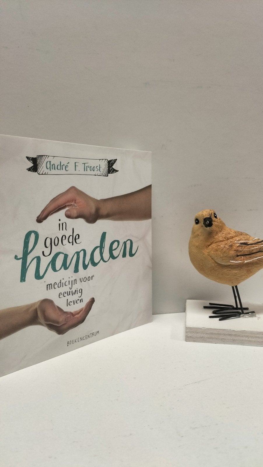 Troost, A.F.; In goede handen, Ophalen of Verzenden, Gelezen, Christendom | Protestants