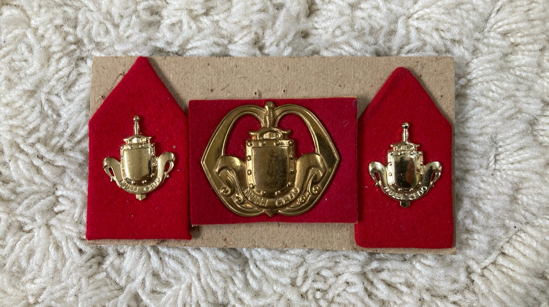 Regiment Infanterie, Ophalen of Verzenden, Landmacht, Nederland, Embleem of Badge