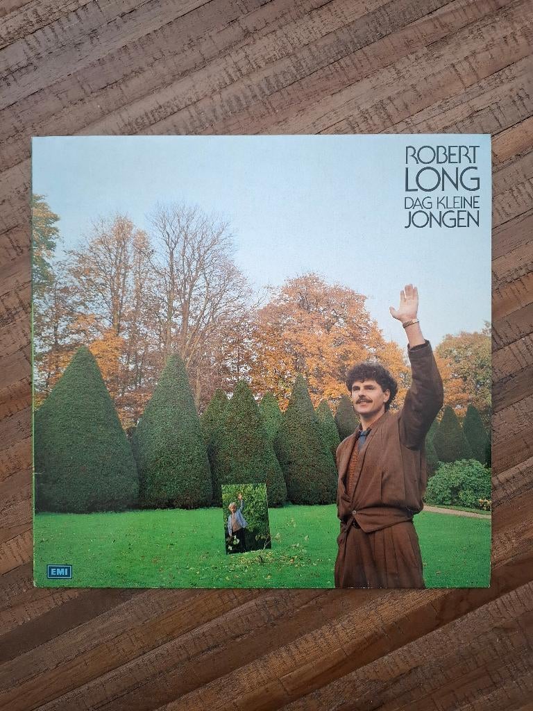 Robert Long - Dag Kleine Jongen, Cd's en Dvd's, Vinyl | Nederlandstalig, Ophalen of Verzenden, Gebruikt, 12 inch, Levenslied of Smartlap