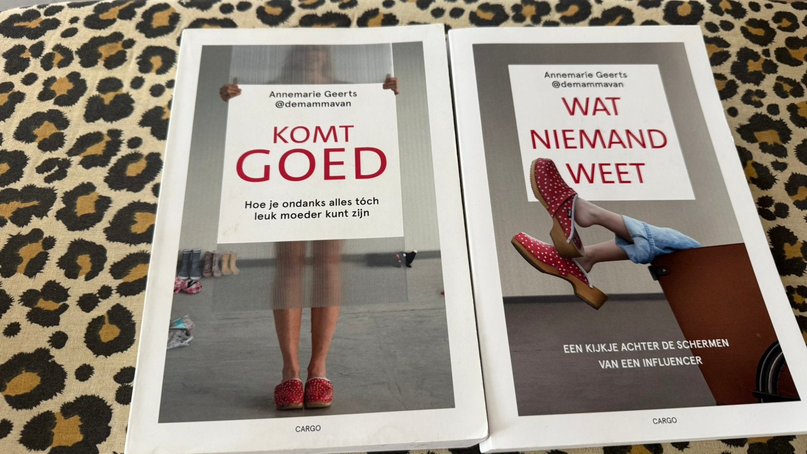 Komt goed en wat niemand weet van Annemarie Geerts, Ophalen of Verzenden, Zo goed als nieuw