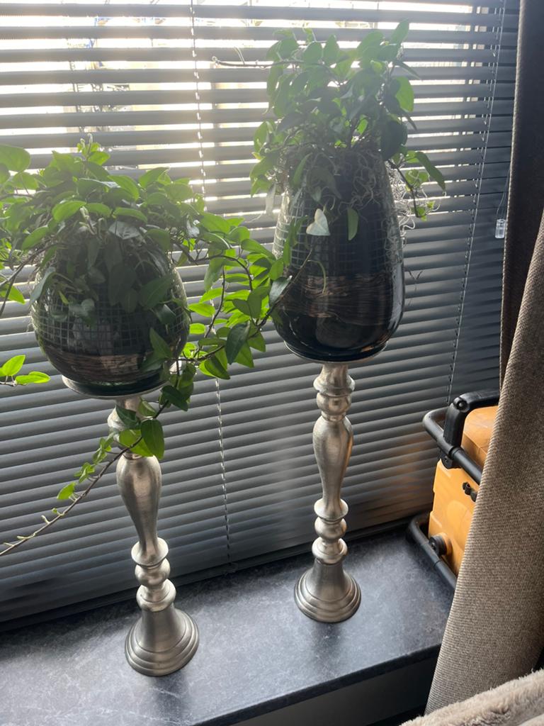 2 x grote ptmd kandalaar incl bloempotten, Ophalen of Verzenden, Overige materialen, 50 tot 75 cm