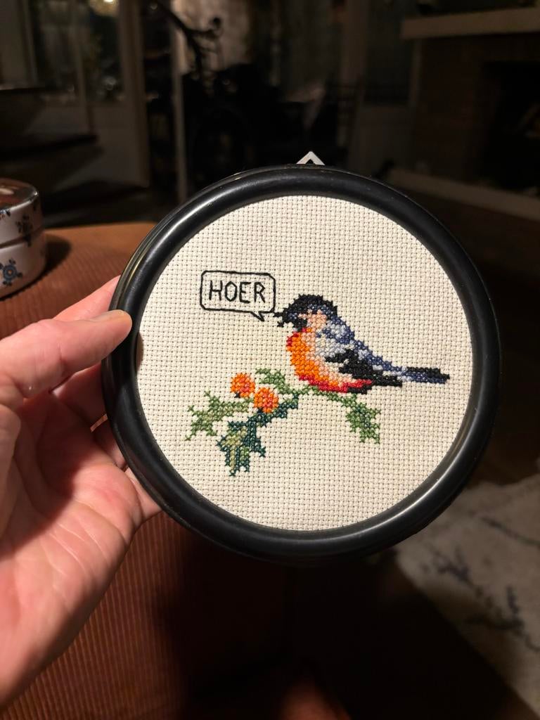 Grappig geborduurd vogeltje in lijstje, Hobby en Vrije tijd, Borduren en Borduurmachines, Zo goed als nieuw, Overige typen, Handborduren