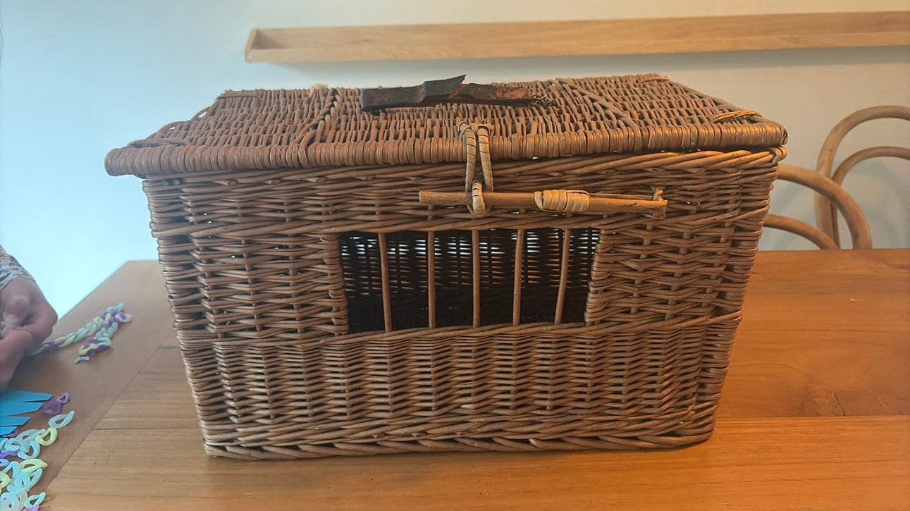 Mooie vintage transport mand voor huisdier, Ophalen, Gebruikt