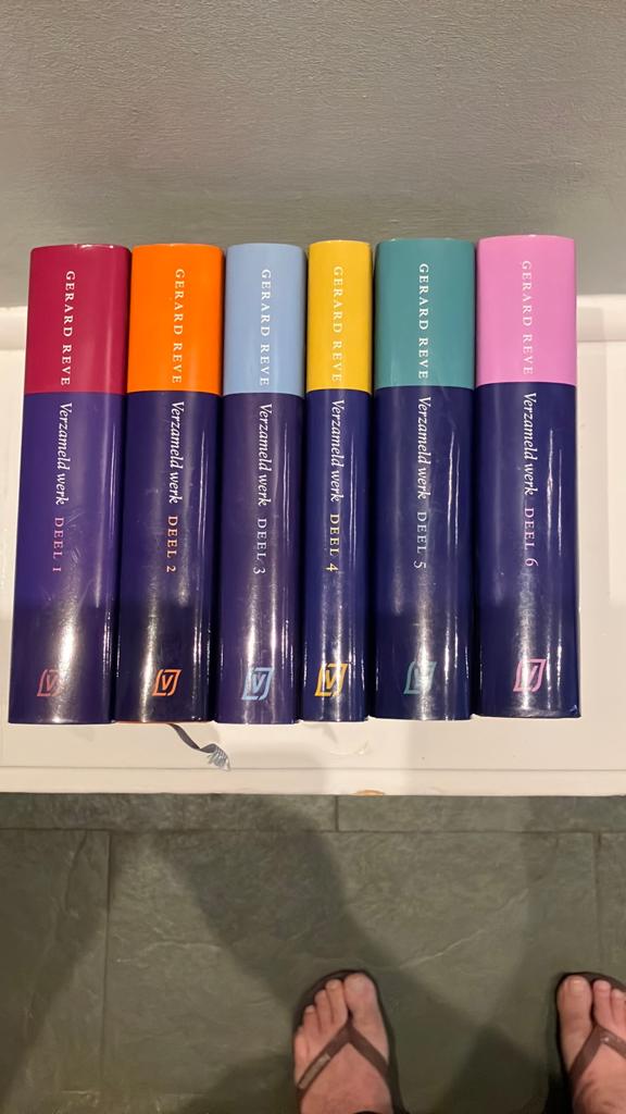 Gerard Reve verzameld werk., Boeken, Ophalen of Verzenden, Zo goed als nieuw