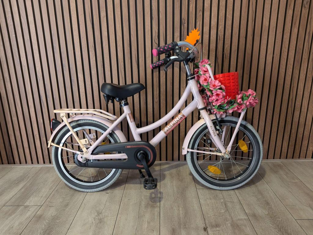 Alpina Cargo 16 inch meisjesfiets, Terugtraprem, Gebruikt, Alpina, Niet ingevuld