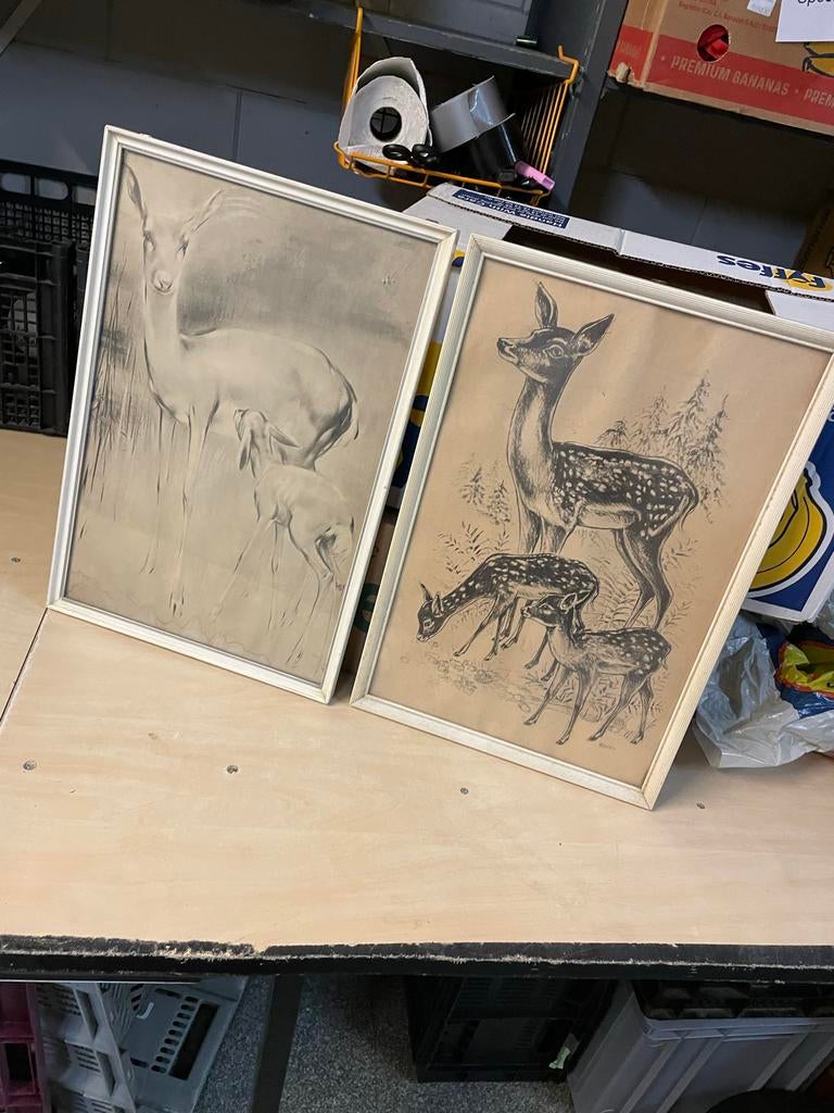 2x Vintage Bambi Herten Prenten - Van Meegeren & Cockey, Antiek en Kunst, Ophalen of Verzenden