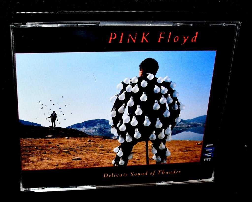 Pink Floyd - Delicate Souns Of Thunder (EMI Records, 1988), Cd's en Dvd's, Cd's | Rock, Ophalen of Verzenden, Zo goed als nieuw