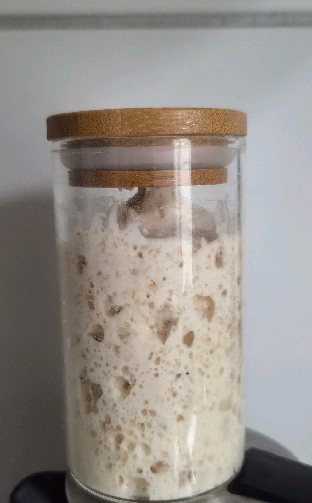 zuurdesem starter, Ophalen
