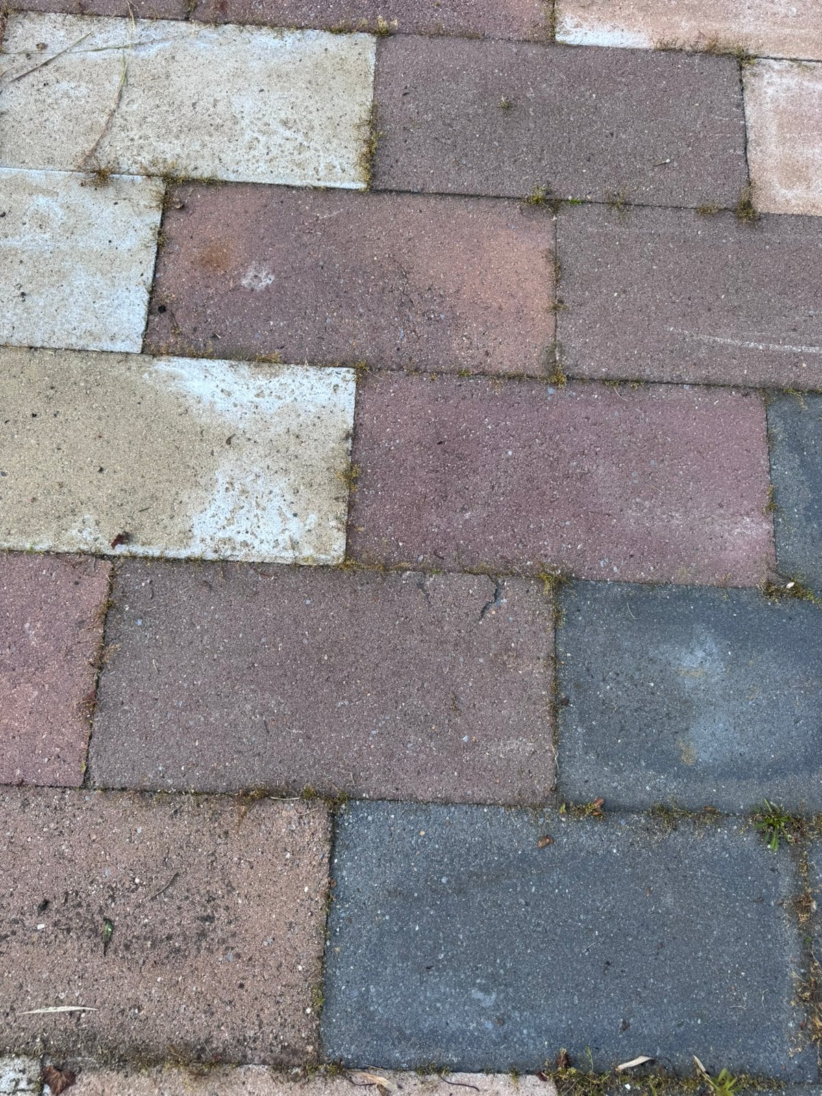 Ruim 300m2 betontegels, 3-kleurig, zelf verwijderen, Ophalen, Zo goed als nieuw, Beton, Terrastegels