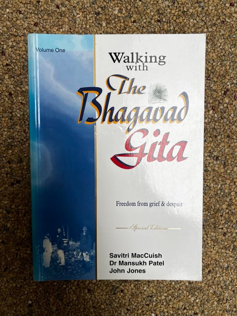 Walking with the Bhagavad Gita - Engelstalig Boek, Boeken, Ophalen of Verzenden, Zo goed als nieuw, Hindoeïsme