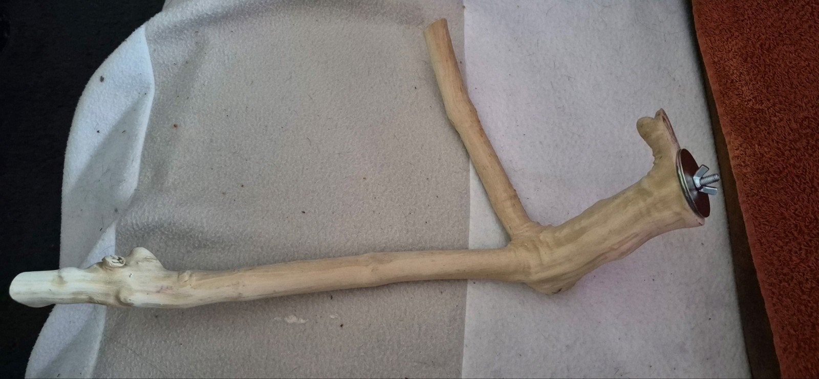 Stevige Vogel stok, Dieren en Toebehoren, Ophalen