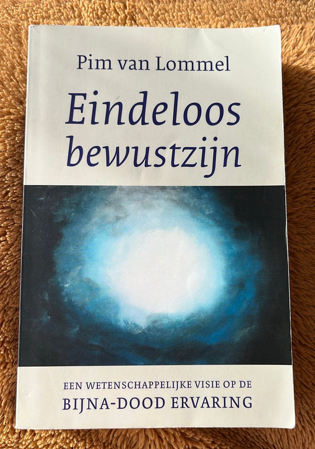 Pim van Lommel - Eindeloos bewustzijn, Ophalen of Verzenden, Zo goed als nieuw, Pim van Lommel