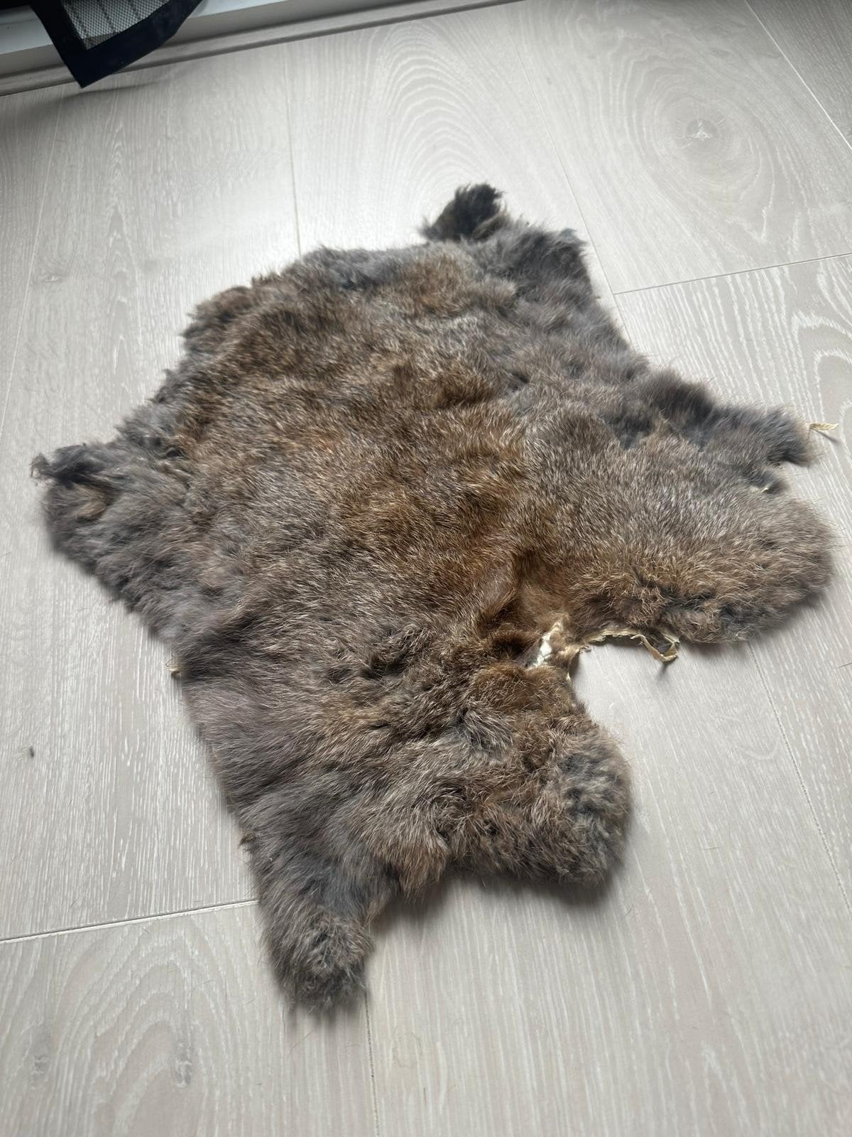 Konijnenvachtje - Leuk ter decoratie, Gebruikt, Ophalen of Verzenden, Landelijk, Natuurlijk materiaal