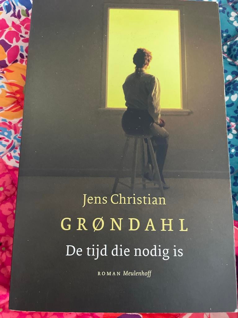 De tijd die nodig is - Jens Christian Grøndahl, Boeken, Ophalen of Verzenden, Zo goed als nieuw, Europa overig