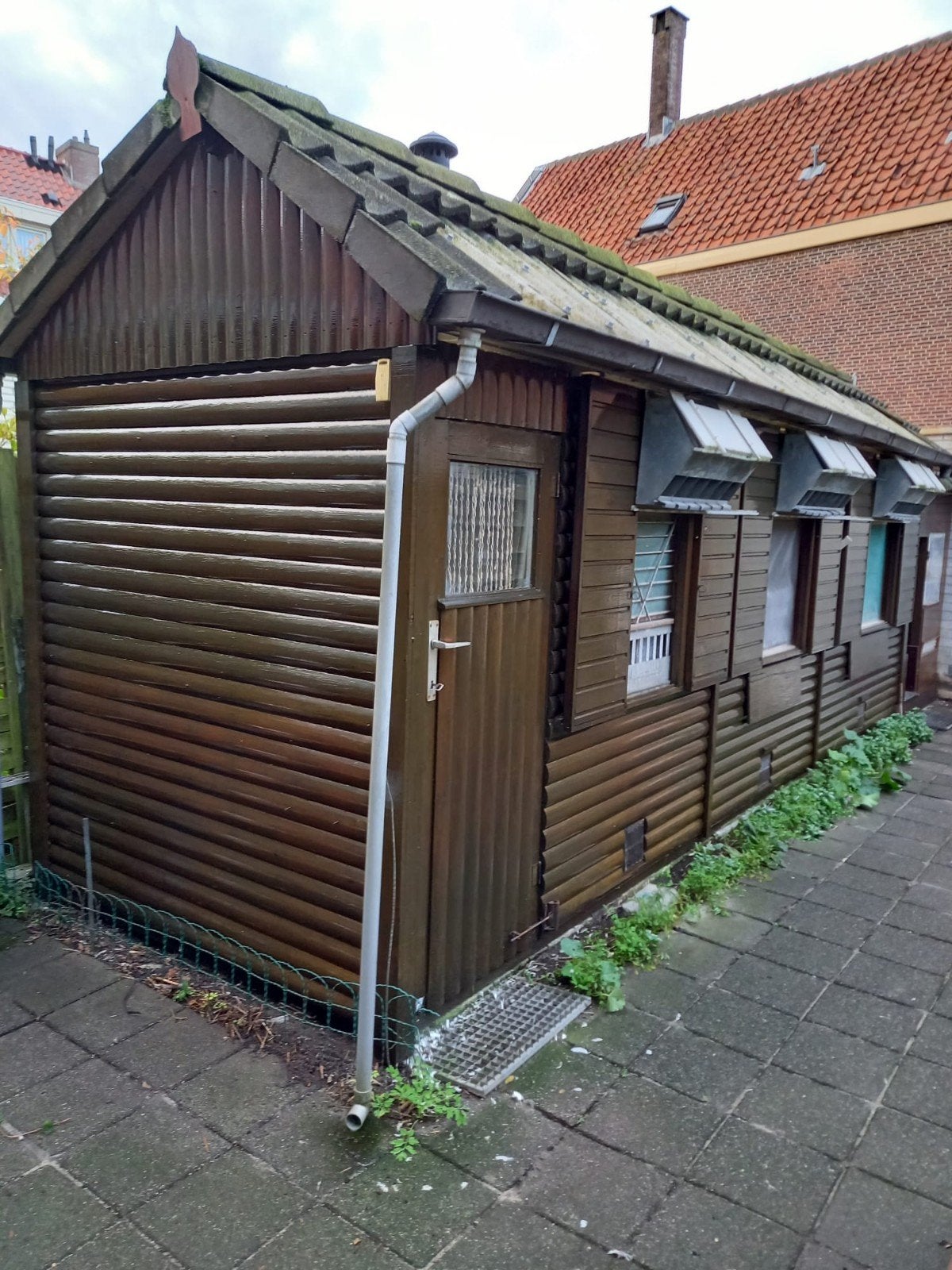 duivenhok gratis af te halen, Meerdere dieren, Postduif