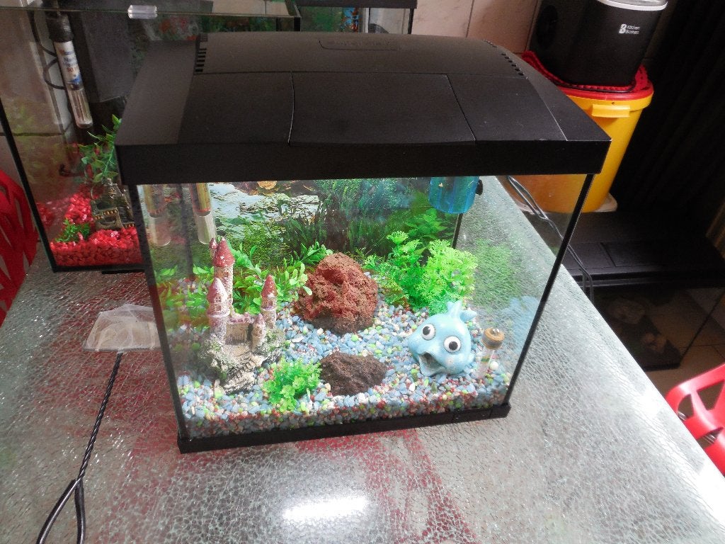 compleet start 30 superfish aquarium met toebehoren, Dieren en Toebehoren, Vissen | Aquaria en Toebehoren, Ophalen, Gebruikt, Leeg aquarium