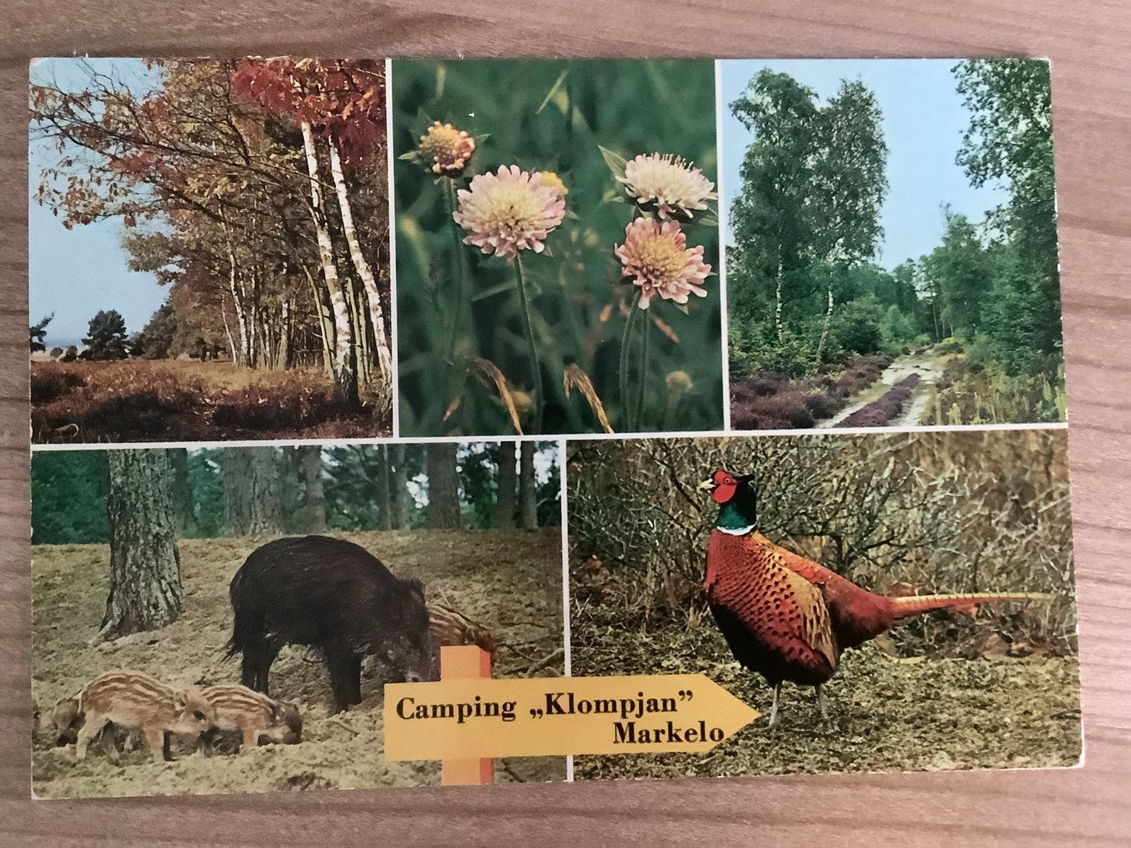 ansichtkaart Markelo, Verzenden, Gelopen