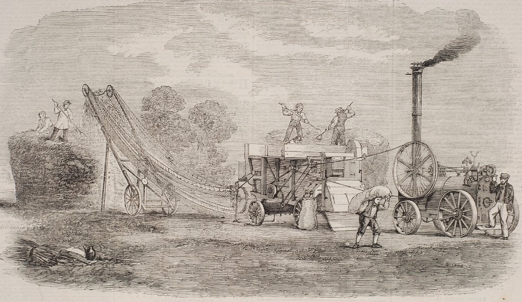 Graanteelt dorsen met machine: originele antieke illustratie, Verzenden, Voor 1940, Zo goed als nieuw