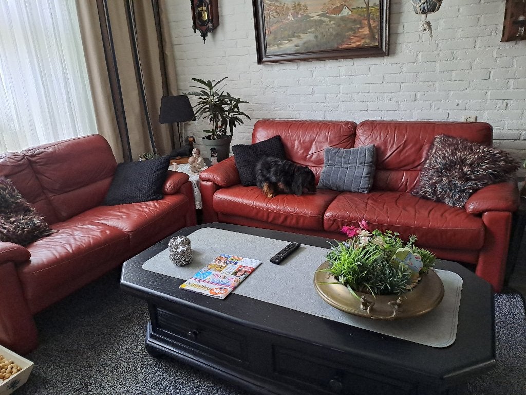 leren bankstel, Huis en Inrichting, Banken | Bankstellen, Ophalen, Gebruikt, Rechte bank, Leer