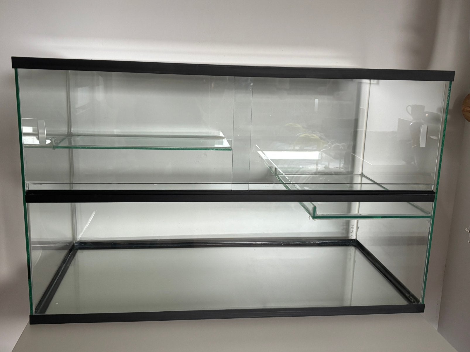 Terrarium, Muis, Zo goed als nieuw, Hok, 75 tot 110 cm