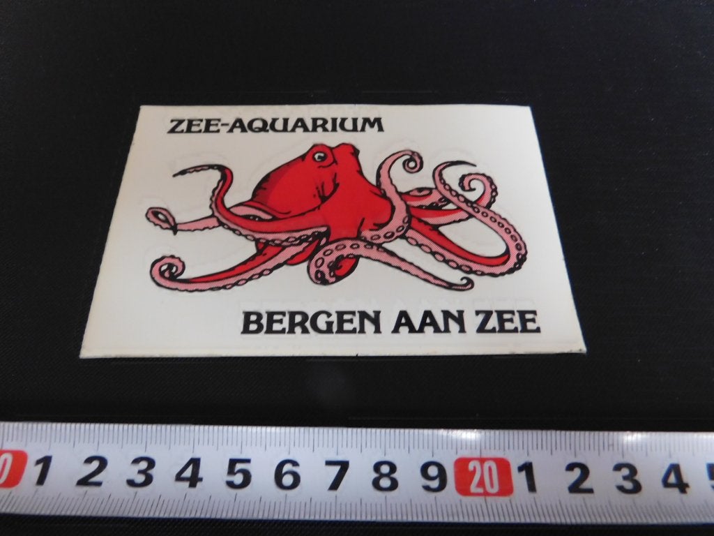sticker transparant octopus zee-aquarium bergen aan zee, Ophalen, Zo goed als nieuw