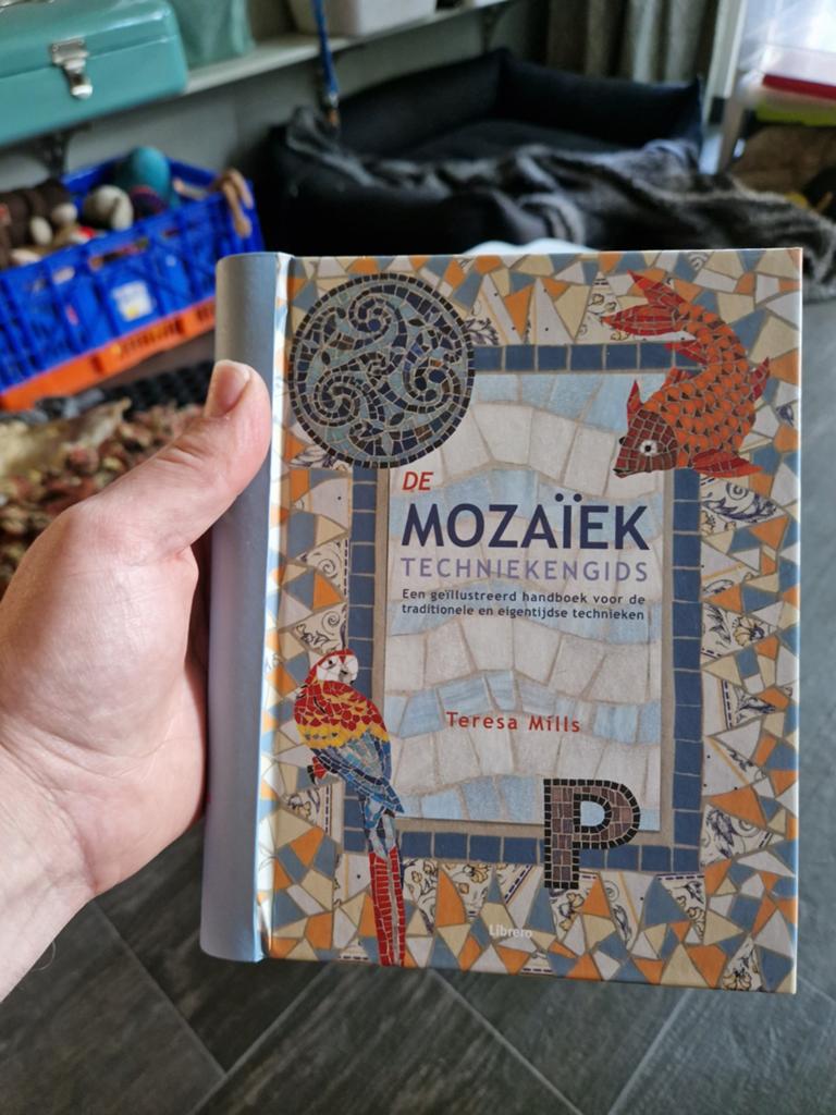 De Mozaïektechniekengids - Teresa Mills, Ophalen of Verzenden
