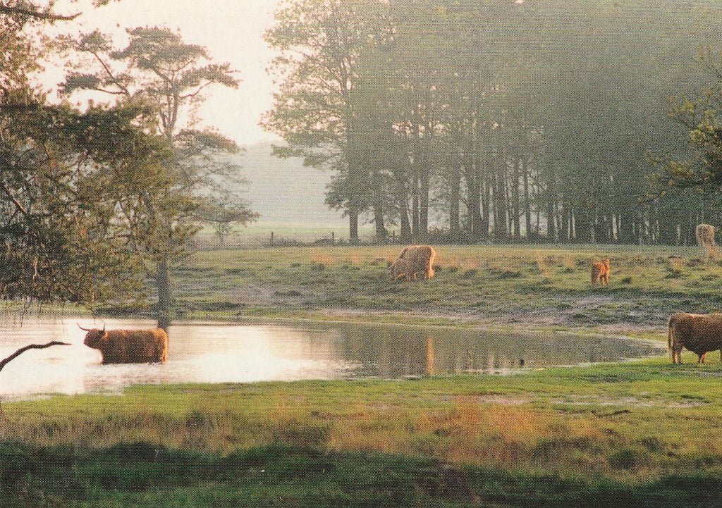 Avondsfeer bij het Natuurvriendenhuis Een-West, Verzamelen, Ophalen of Verzenden, 1980 tot heden, Ongelopen, Drenthe