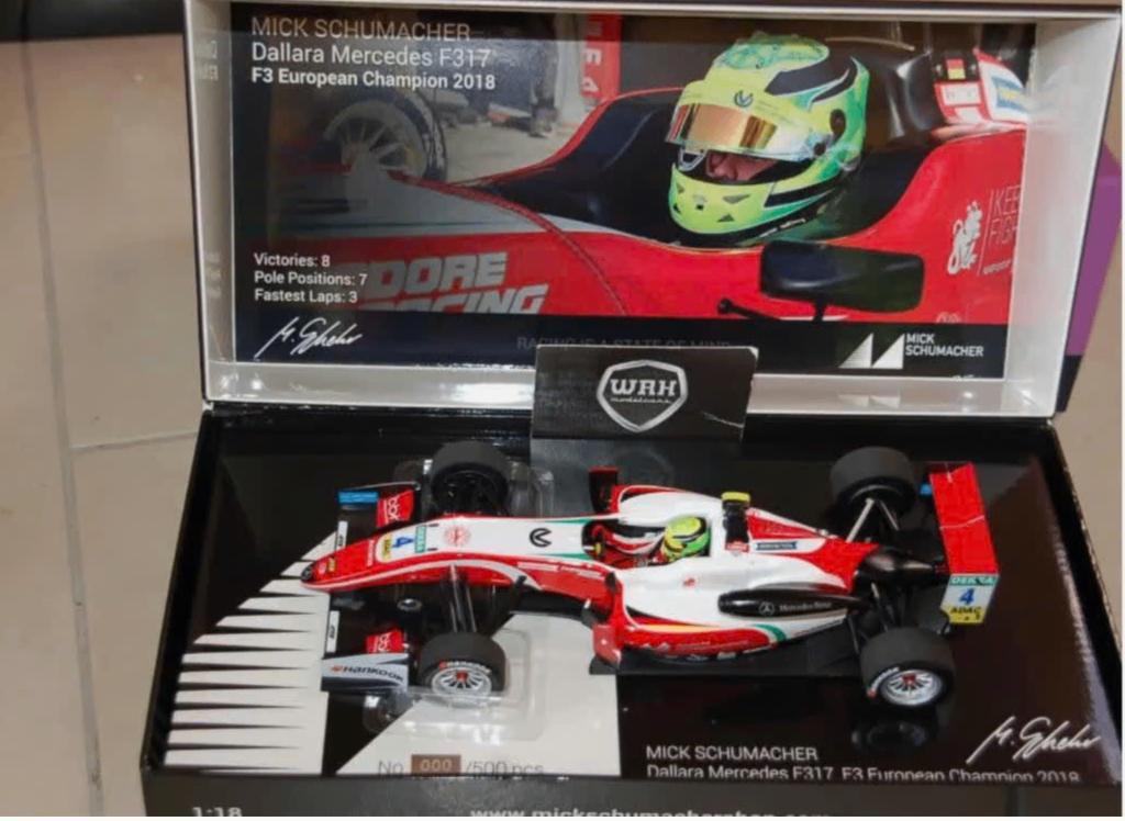 1:18 DALLARA F317 MICK SCHUMACHER Minichamps LTD 000/500 WRH, Verzenden, Zo goed als nieuw, Auto, MiniChamps