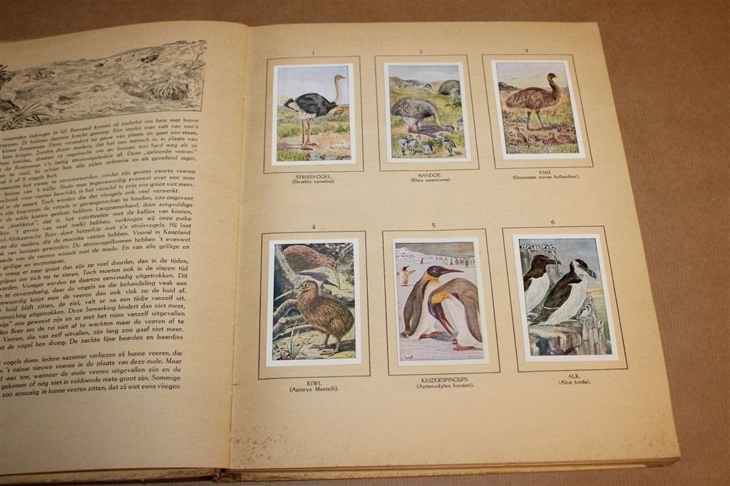 Vogelalbum — Klaverblad Zeep 1923, Compleet met Plaatjes, Boeken, Ophalen of Verzenden, Gelezen