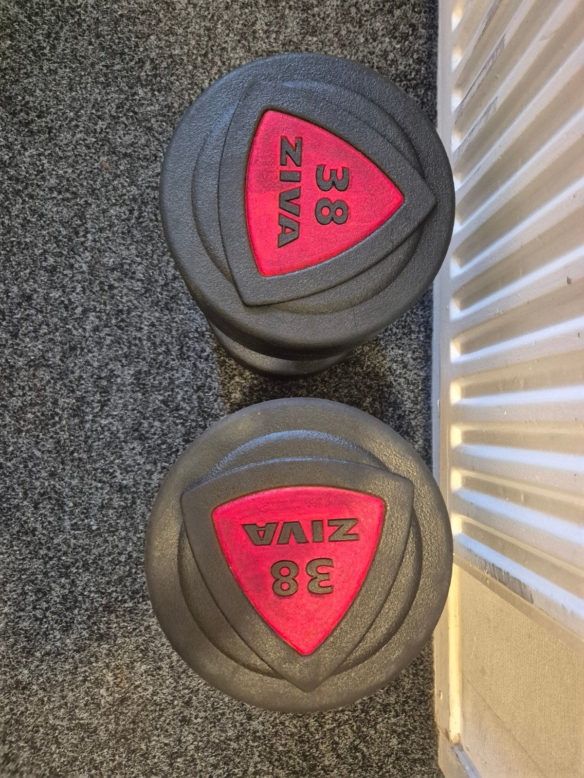 ZIVA Dumbbells 38 kg - Set van 2, Ophalen, Gebruikt, Rug, Dumbbell