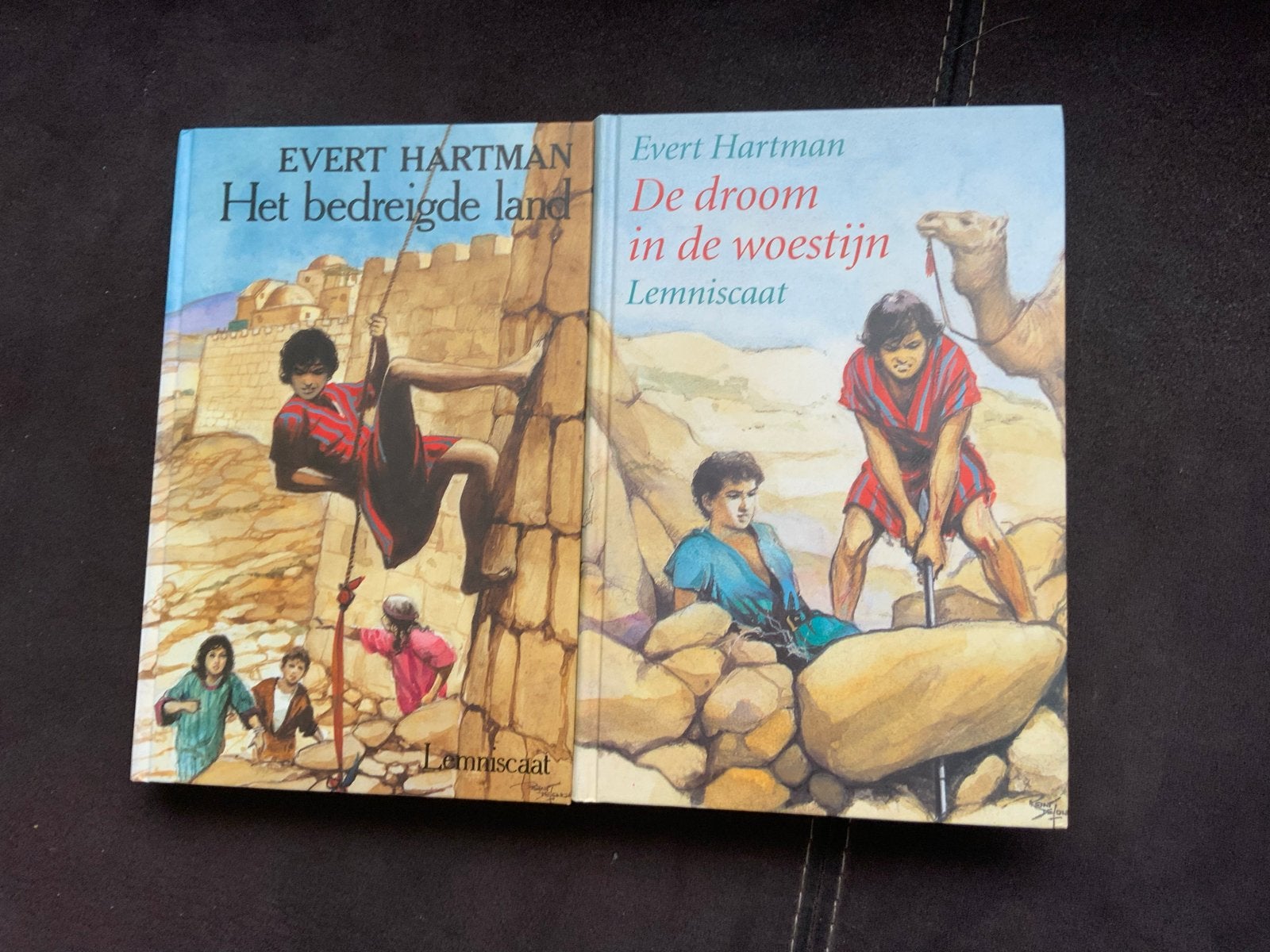 Evert Hartman - De droom in de woestijn & Het bedreigde land, Boeken, Ophalen of Verzenden, Nieuw, Fictie algemeen