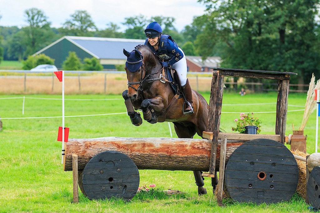 Stoere allrounder, Dieren en Toebehoren, Paarden, Ruin, M, 160 tot 165 cm, 11 jaar of ouder, Springpaard, Met stamboom, Gechipt