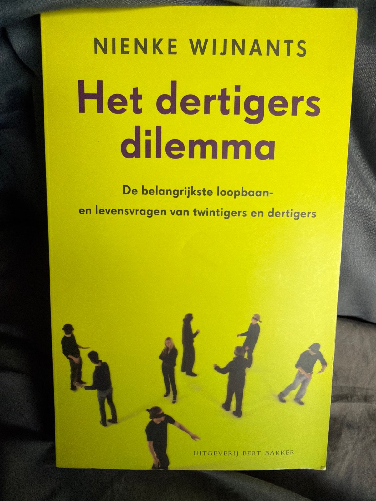 SKR.   Nienke Wijnants - Dertigersdilemma, Ophalen of Verzenden, Ontwikkelingspsychologie, Nienke Wijnants, Zo goed als nieuw