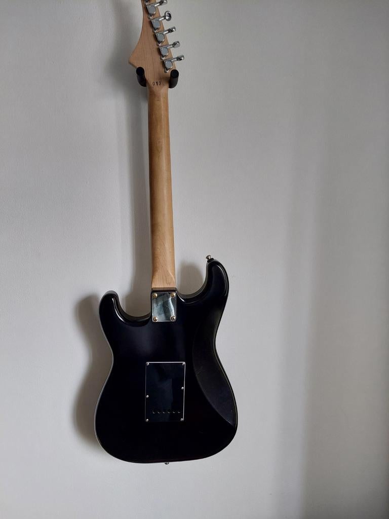Tree of Life Strat met Fender noiseless pickups, Ophalen, Gebruikt, Solid body, Fender