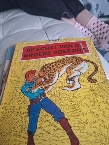 De Schat van de Groene Boeddha - Stripboek Chick Bill, Boeken, Stripboeken, Eén stripboek, Ophalen of Verzenden, Gelezen, Onbekend