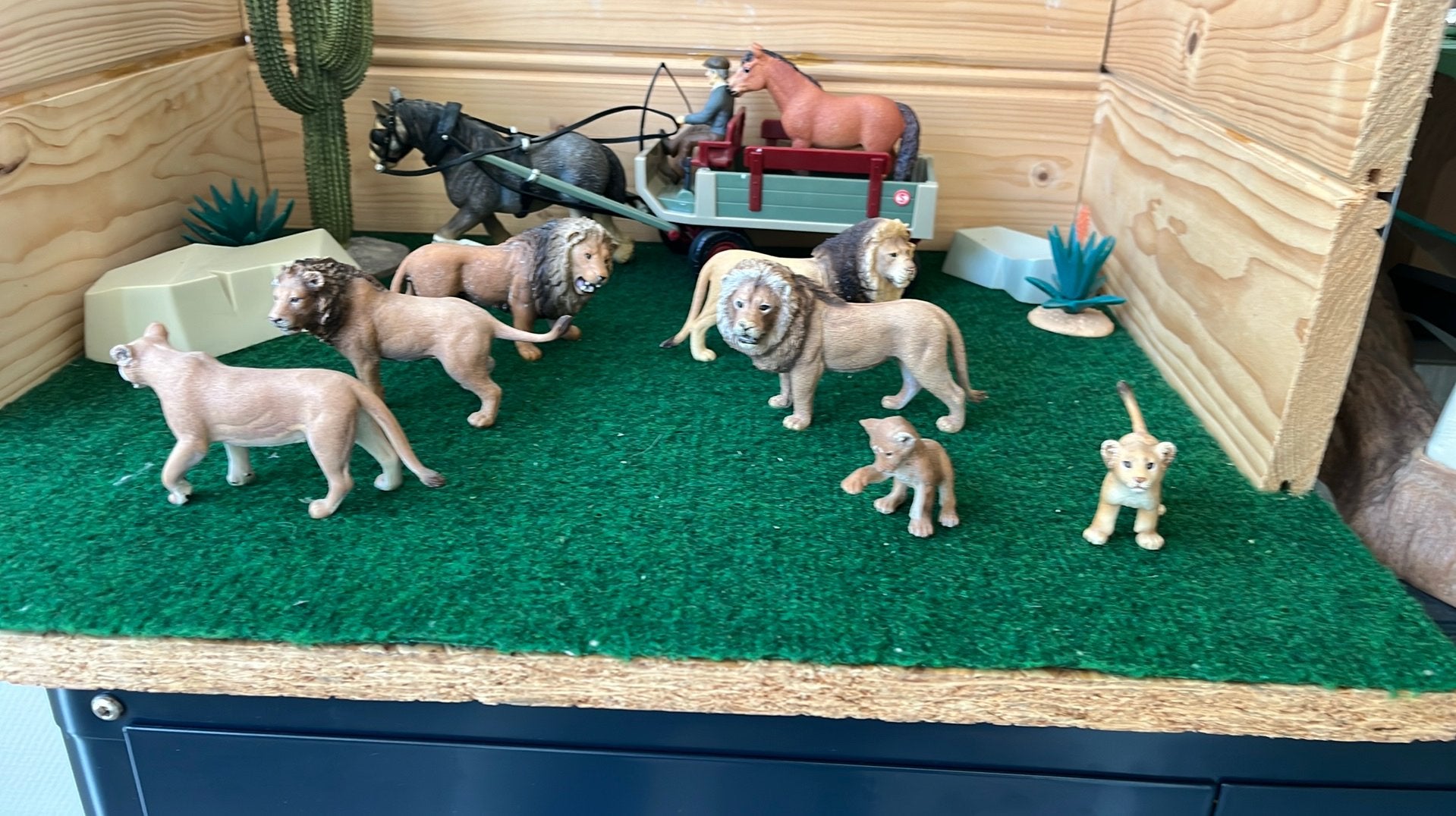 Schleich leeuwen, Ophalen of Verzenden, Zo goed als nieuw, Paard, Beeldje of Figuurtje