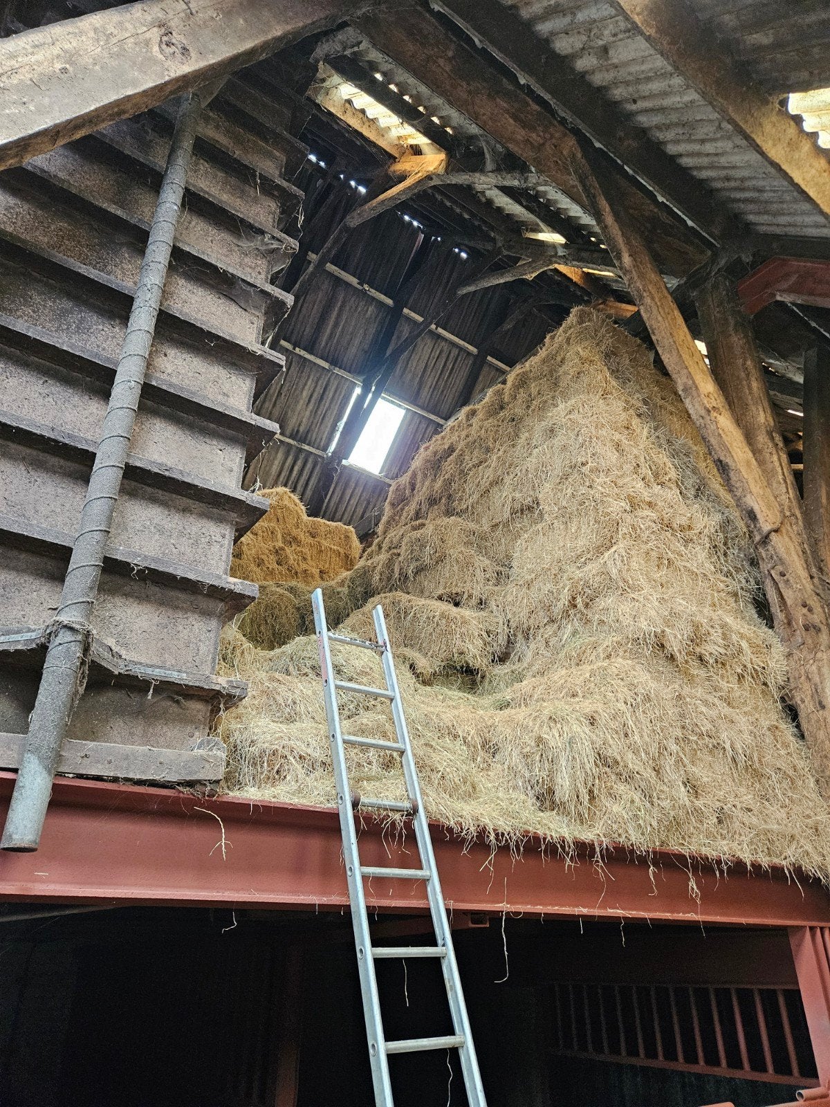 Kleine pakjes hooi baaltjes hooi, Dieren en Toebehoren, Ophalen of Verzenden, Vee