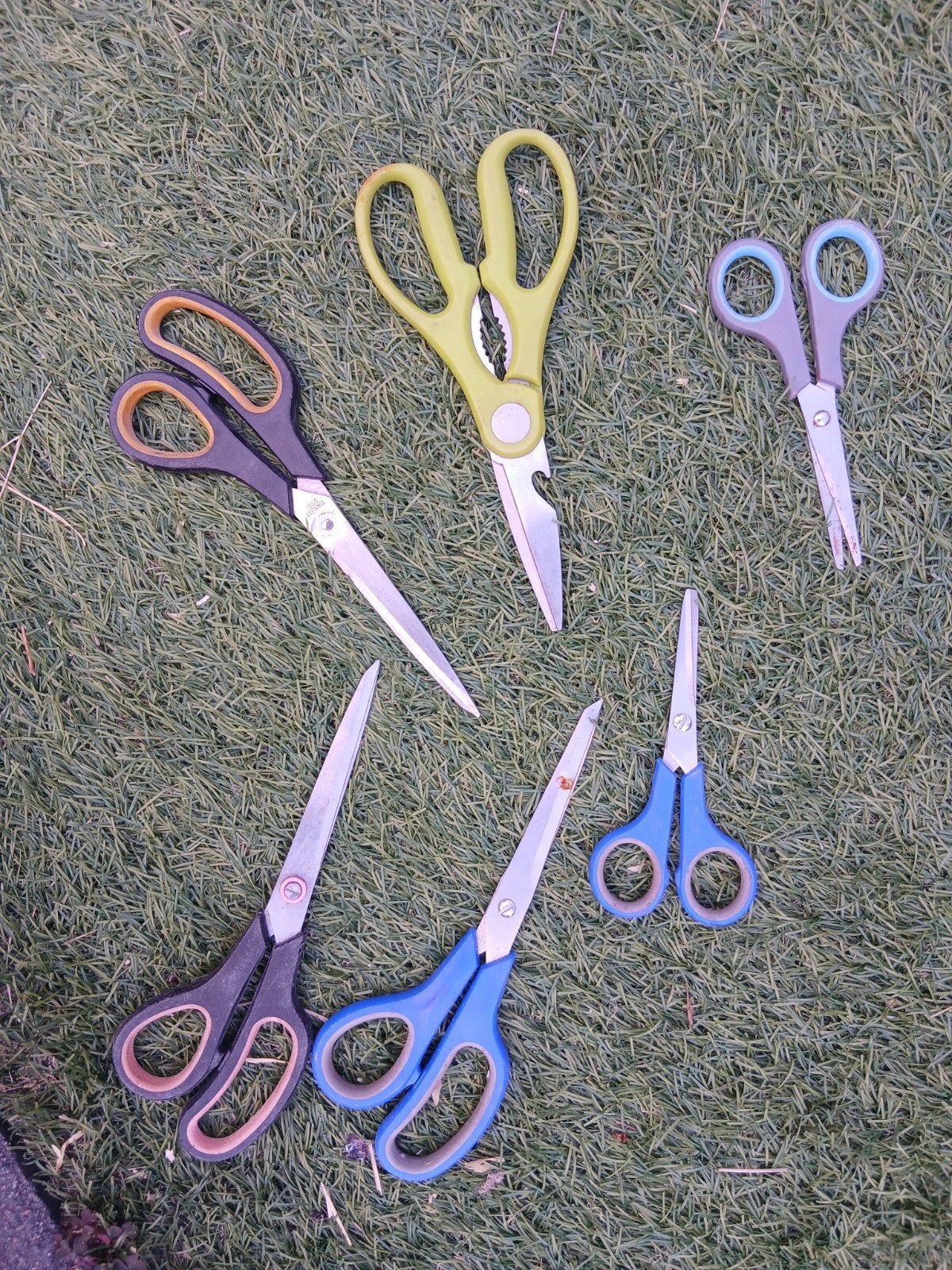 diverse scharen, Ophalen of Verzenden