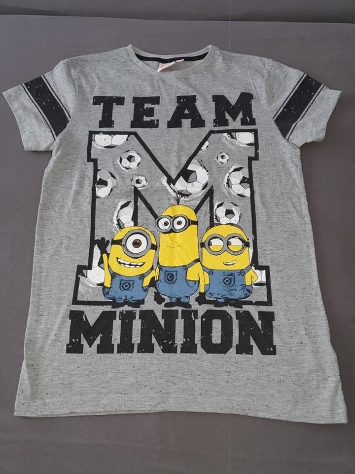 Minions T-shirt Team Minion grijs maat 146, Minions, Ophalen of Verzenden, Zo goed als nieuw, Shirt of Longsleeve