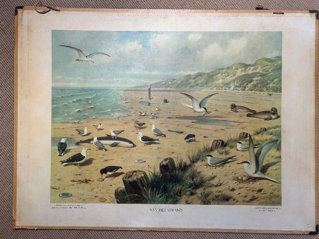 Schoolplaat het strand, Ophalen, 50 – 75, Gebruikt, Schilderij