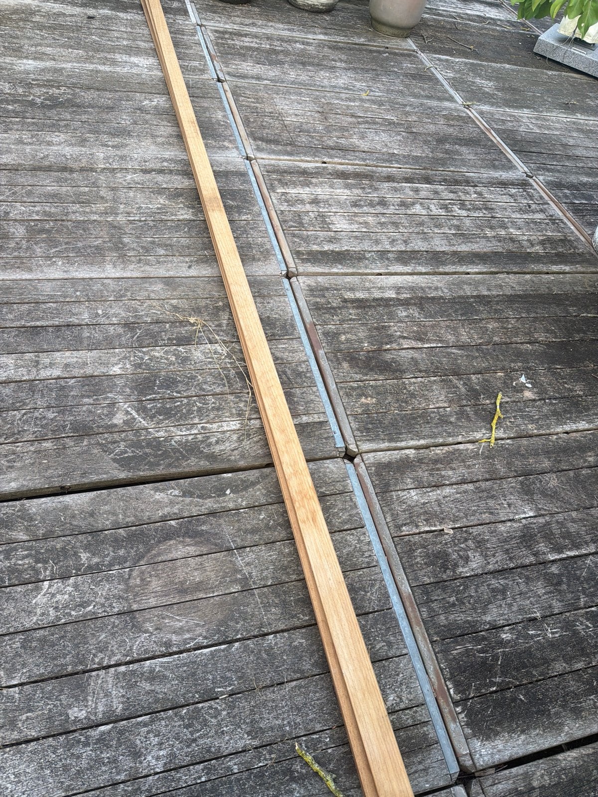 4 Nieuwe Ayous Ruitprofiel Latten 4.2m van Gadero, Ophalen, 25 tot 50 mm, Nieuw, Plank